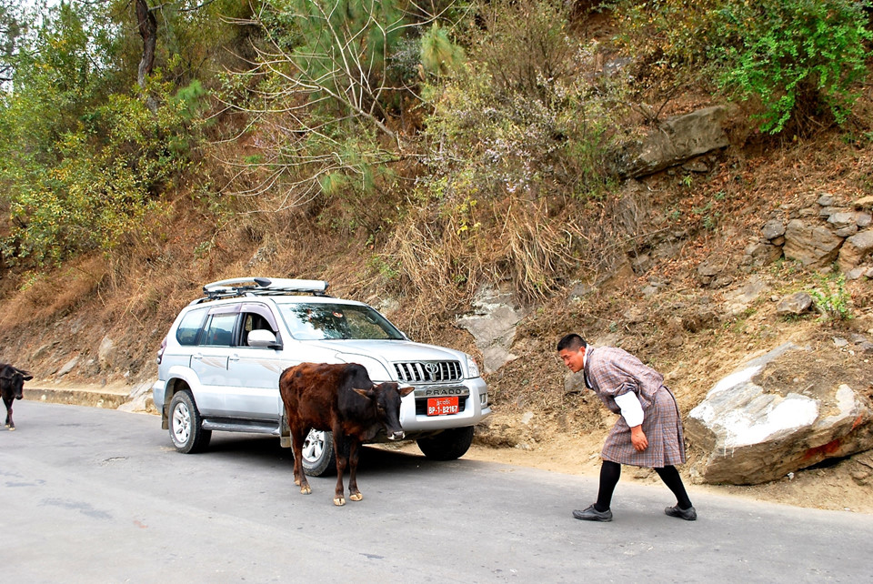 dieu-ky-la-o-bhutan-6