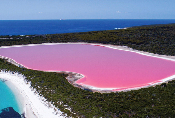 Ngắm hồ nước màu sinh tố dâu tây lạ thường ở Australia