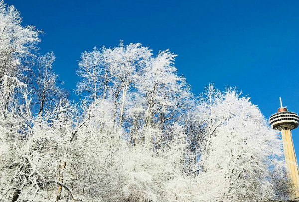 Thác Niagara đóng băng tựa vương quốc băng giá