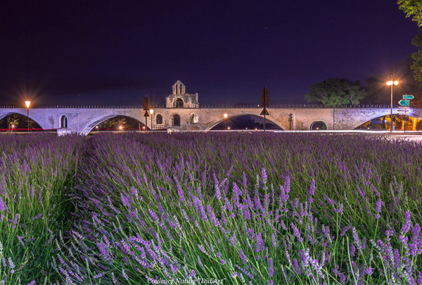 AVIGNON, THÀNH PHỐ THƠ MỘNG NGÀN HOA CỦA NƯỚC PHÁP