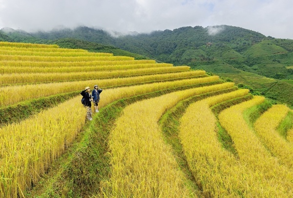 HÀ NỘI - SĂN MÂY TRÊN ĐỈNH TÀ XÙA (Mùng 3)